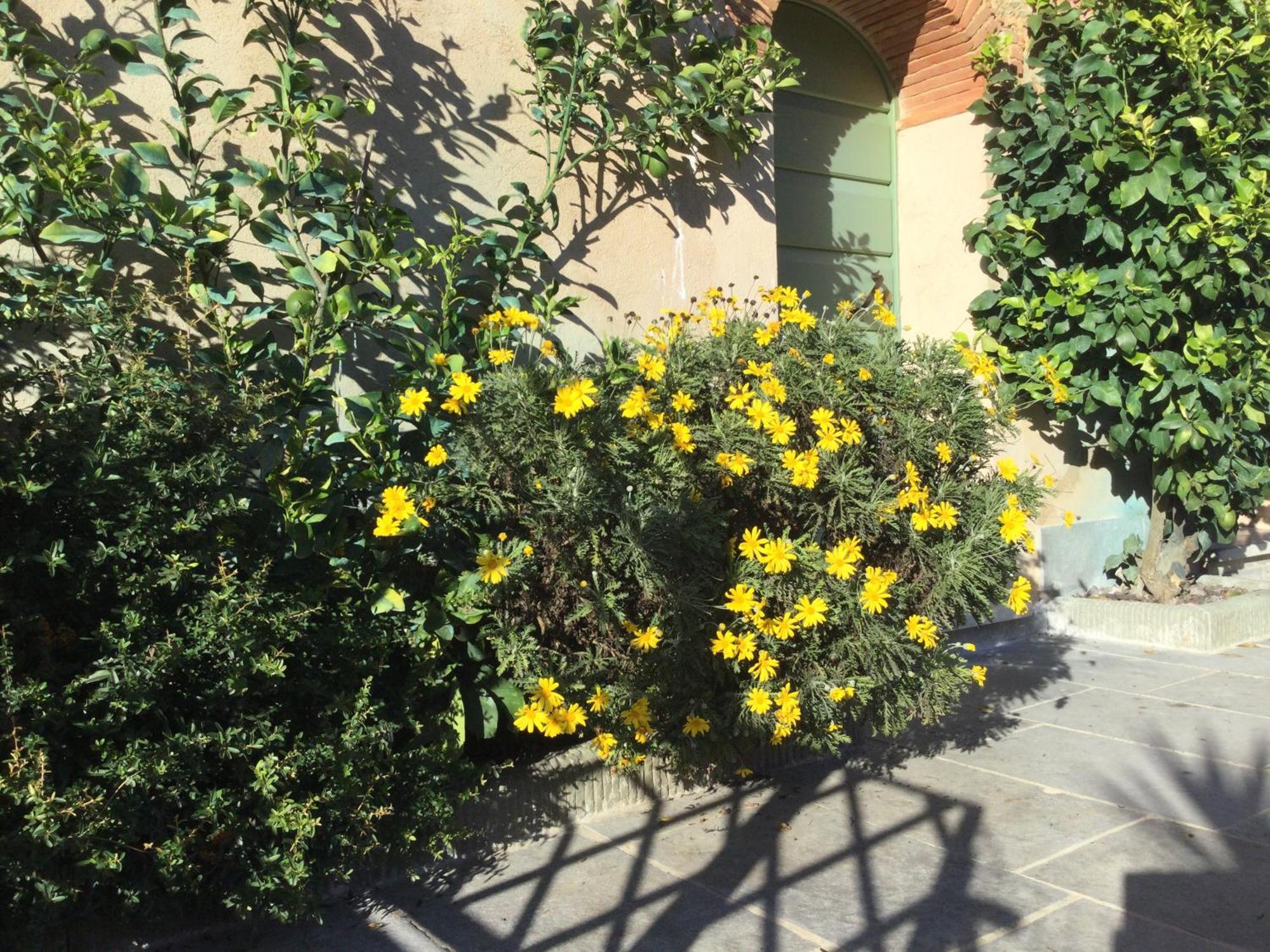 Casa Mita Con Pacchetto Mare Incluso Camaiore